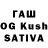 Гашиш VHQ Kunduz Tologonova