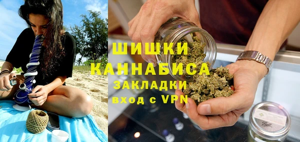 Альфа ПВП Аркадак