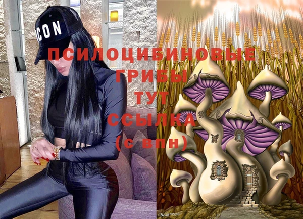 кокс Арсеньев