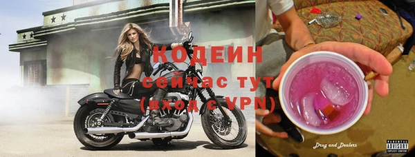 кокс Арсеньев