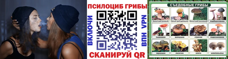 Псилоцибиновые грибы Psilocybe  как найти закладки  Королёв 