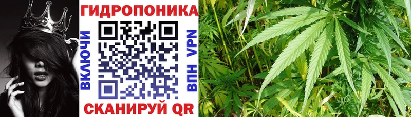 Бошки Шишки тримм  ОМГ ОМГ ТОР  Королёв 